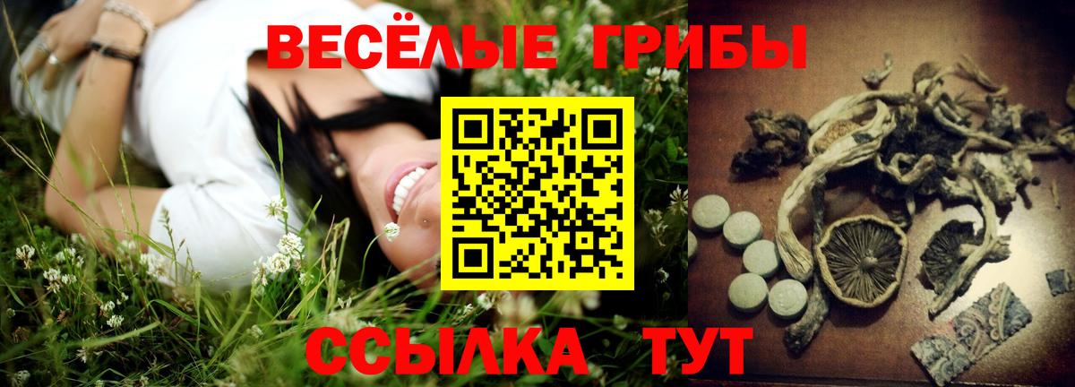 продажа наркотиков  Вход с VPN  Лабинск  Галлюциногенные грибы GOLDEN TEACHER 